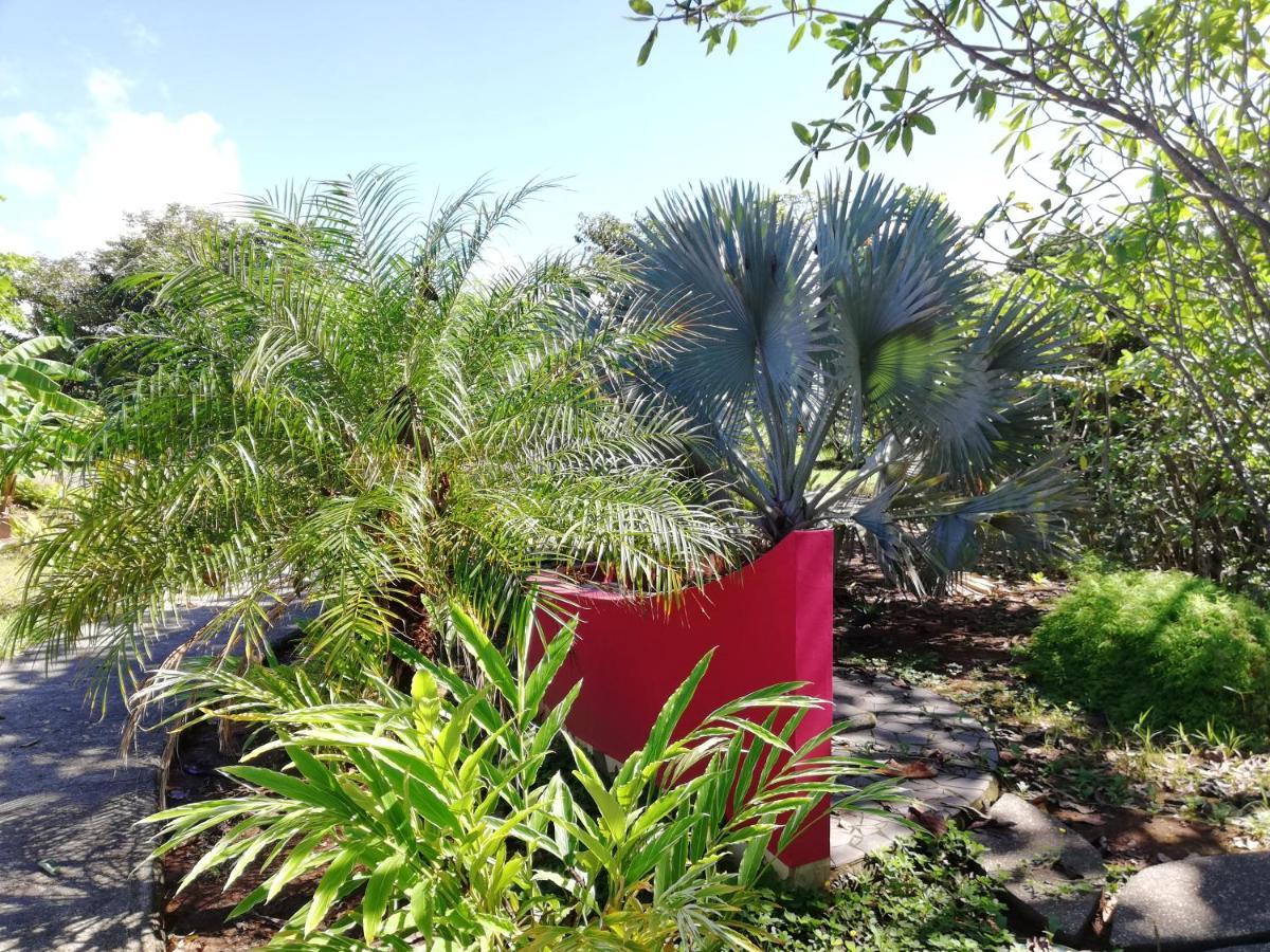 Punta Duarte Garden Inn Los Duarte Buitenkant foto