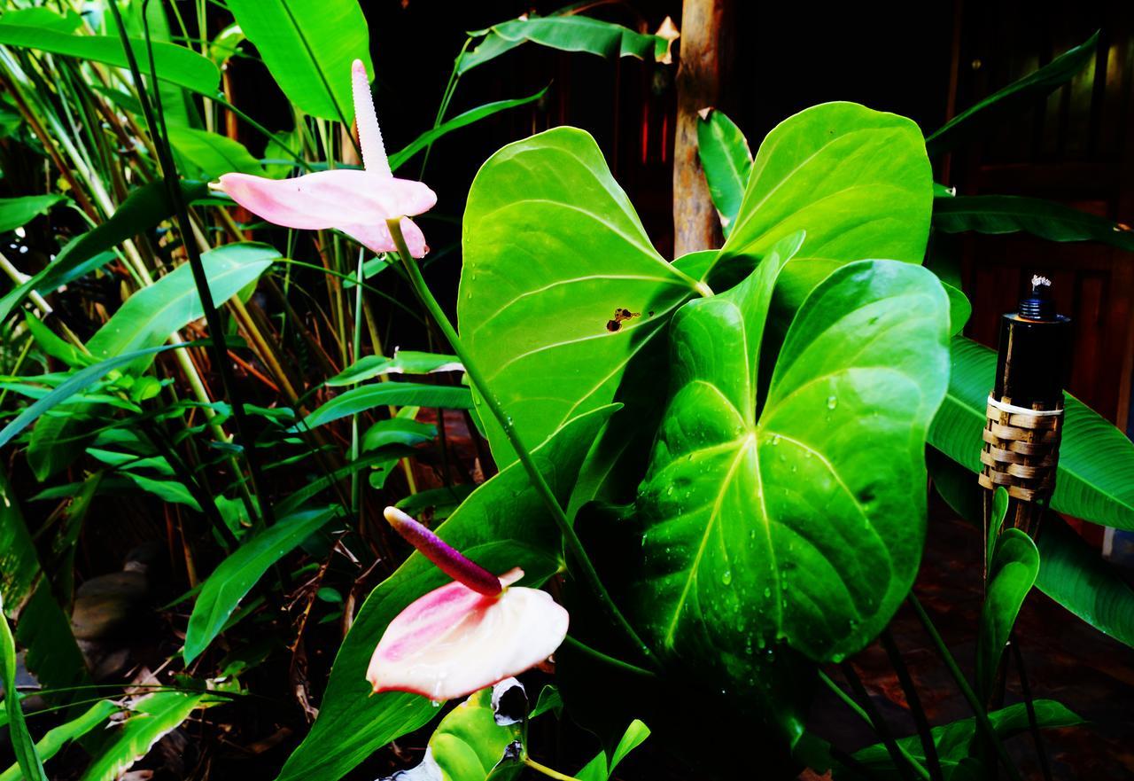Punta Duarte Garden Inn Los Duarte Buitenkant foto
